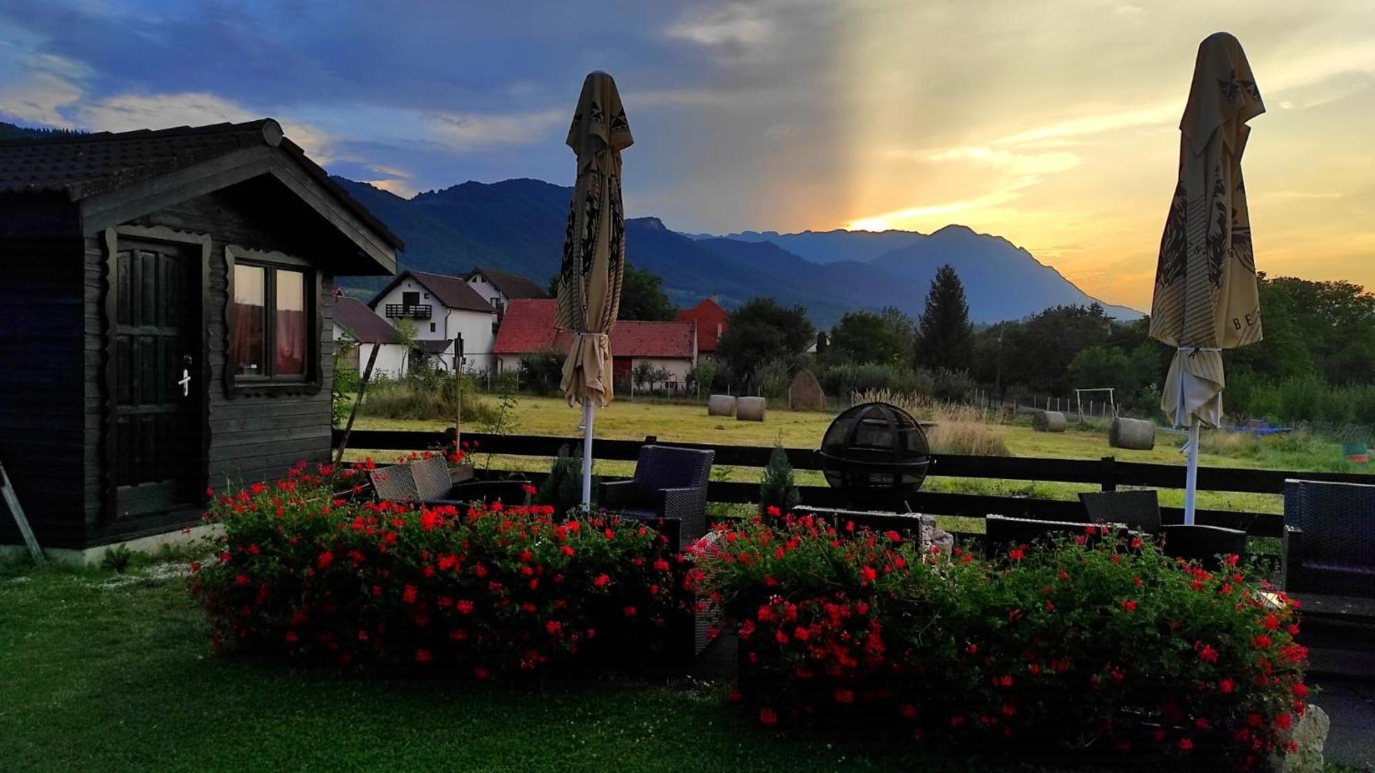 Villa Siana Bran  Exterior foto