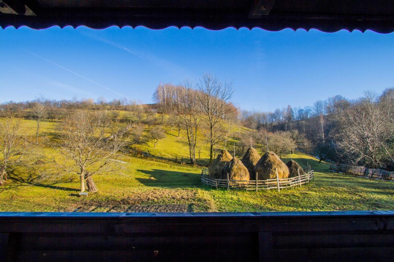 Villa Siana Bran  Exterior foto